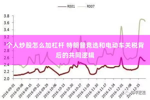 个人炒股怎么加杠杆 特朗普竞选和电动车关税背后的共同逻辑