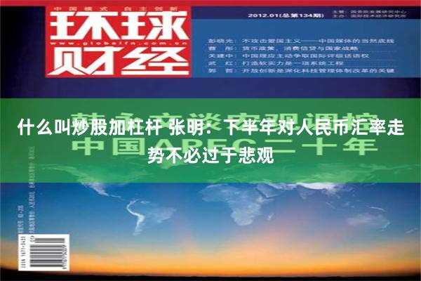 什么叫炒股加杠杆 张明：下半年对人民币汇率走势不必过于悲观