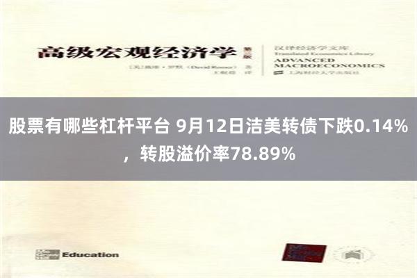 股票有哪些杠杆平台 9月12日洁美转债下跌0.14%，转股溢价率78.89%