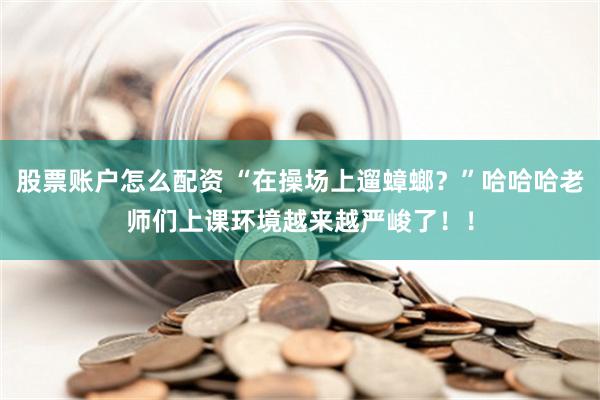 股票账户怎么配资 “在操场上遛蟑螂？”哈哈哈老师们上课环境越来越严峻了！！