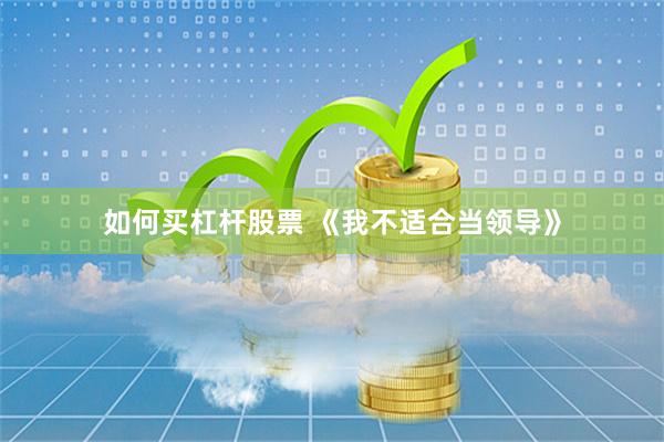 如何买杠杆股票 《我不适合当领导》