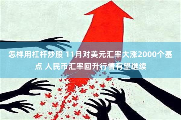 怎样用杠杆炒股 11月对美元汇率大涨2000个基点 人民币汇率回升行情有望继续