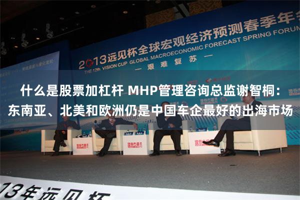 什么是股票加杠杆 MHP管理咨询总监谢智桐：东南亚、北美和欧洲仍是中国车企最好的出海市场