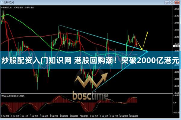 炒股配资入门知识网 港股回购潮！突破2000亿港元
