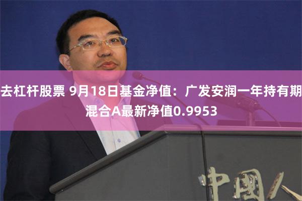 去杠杆股票 9月18日基金净值：广发安润一年持有期混合A最新净值0.9953