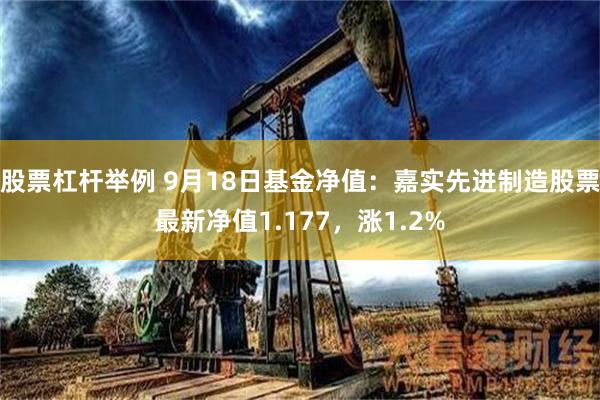 股票杠杆举例 9月18日基金净值：嘉实先进制造股票最新净值1.177，涨1.2%