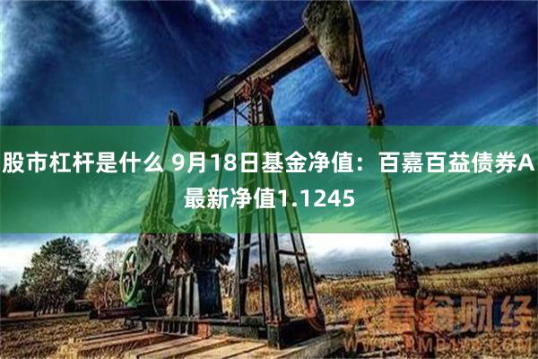股市杠杆是什么 9月18日基金净值：百嘉百益债券A最新净值1.1245
