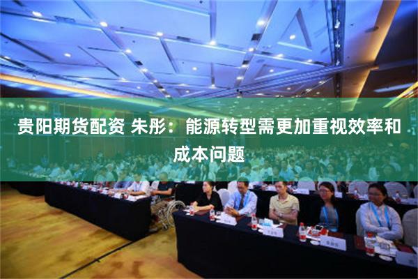 贵阳期货配资 朱彤：能源转型需更加重视效率和成本问题
