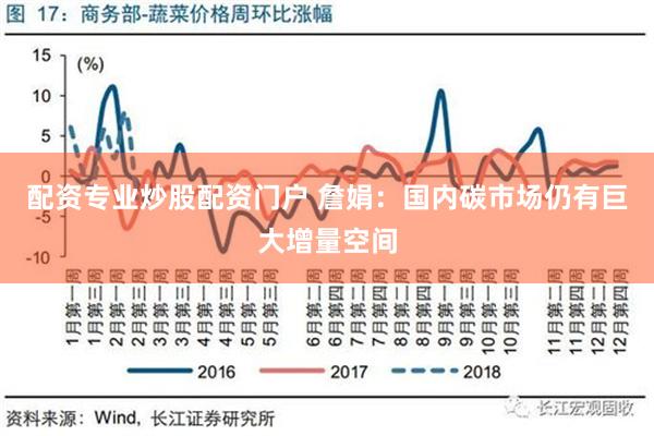 配资专业炒股配资门户 詹娟：国内碳市场仍有巨大增量空间