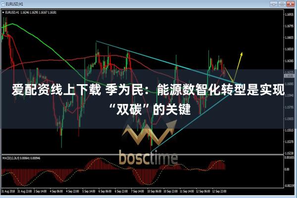 爱配资线上下载 季为民：能源数智化转型是实现“双碳”的关键