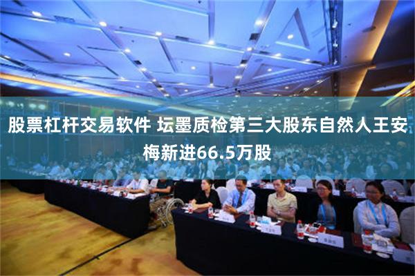 股票杠杆交易软件 坛墨质检第三大股东自然人王安梅新进66.5万股