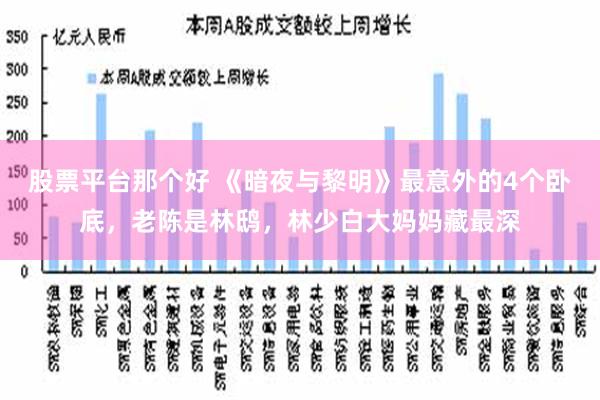 股票平台那个好 《暗夜与黎明》最意外的4个卧底，老陈是林鸱，林少白大妈妈藏最深