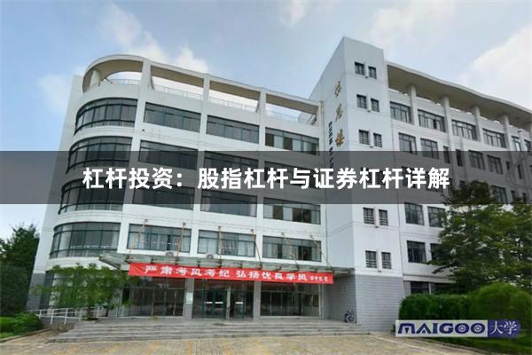 杠杆投资：股指杠杆与证券杠杆详解