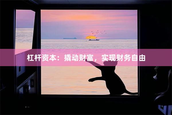 杠杆资本：撬动财富，实现财务自由