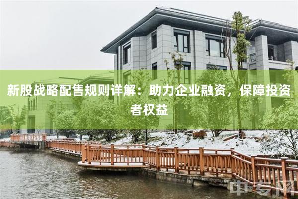 新股战略配售规则详解：助力企业融资，保障投资者权益