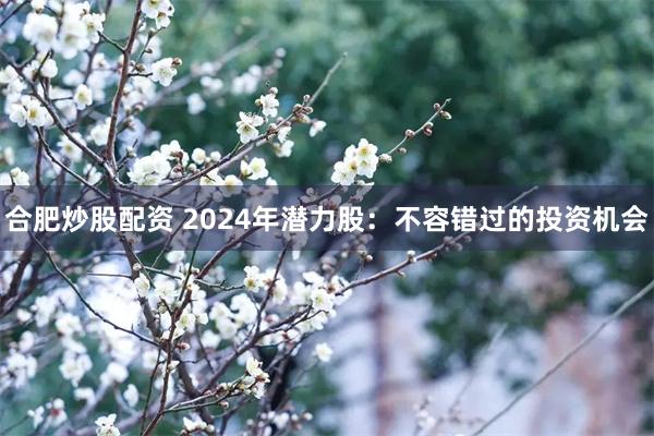合肥炒股配资 2024年潜力股：不容错过的投资机会