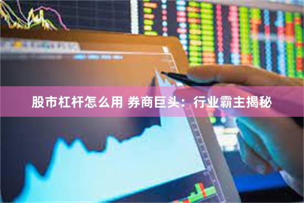 股市杠杆怎么用 券商巨头：行业霸主揭秘