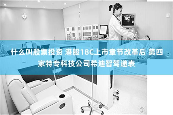 什么叫股票投资 港股18C上市章节改革后 第四家特专科技公司希迪智驾递表