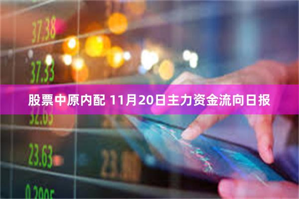 股票中原内配 11月20日主力资金流向日报