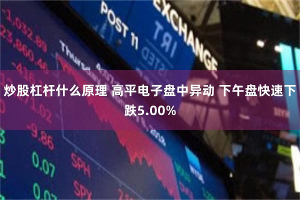 炒股杠杆什么原理 高平电子盘中异动 下午盘快速下跌5.00%