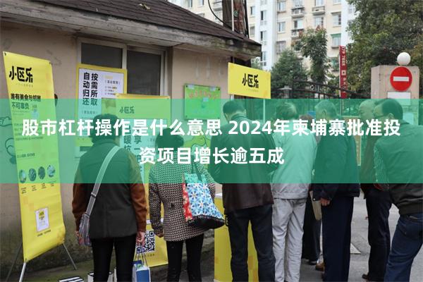 股市杠杆操作是什么意思 2024年柬埔寨批准投资项目增长逾五成