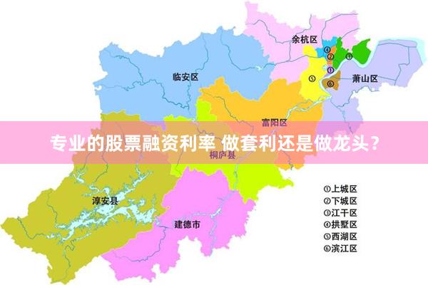 专业的股票融资利率 做套利还是做龙头？
