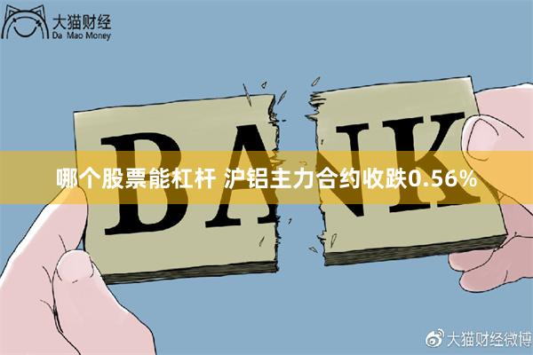 哪个股票能杠杆 沪铝主力合约收跌0.56%