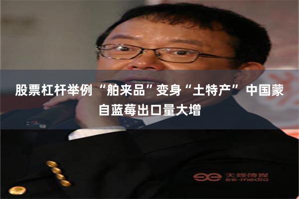 股票杠杆举例 “舶来品”变身“土特产” 中国蒙自蓝莓出口量大增