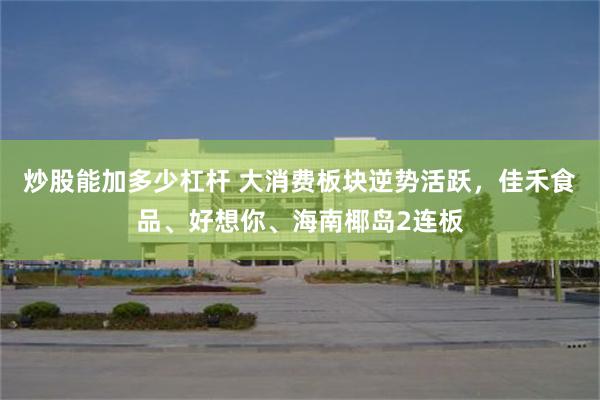 炒股能加多少杠杆 大消费板块逆势活跃，佳禾食品、好想你、海南椰岛2连板