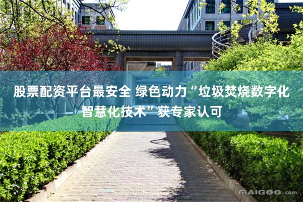 股票配资平台最安全 绿色动力“垃圾焚烧数字化智慧化技术”获专家认可