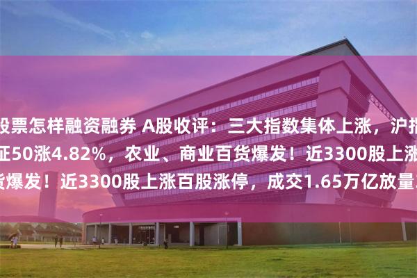 股票怎样融资融券 A股收评：三大指数集体上涨，沪指尾盘拉升涨1.58%北证50涨4.82%，农业、商业百货爆发！近3300股上涨百股涨停，成交1.65万亿放量352亿