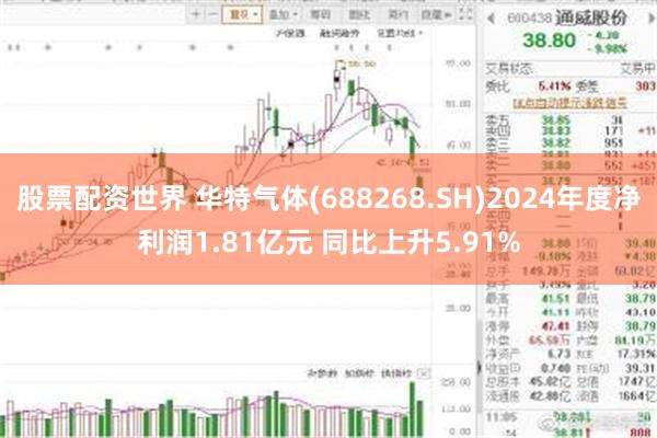 股票配资世界 华特气体(688268.SH)2024年度净利润1.81亿元 同比上升5.91%