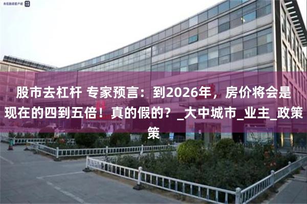 股市去杠杆 专家预言：到2026年，房价将会是现在的四到五倍！真的假的？_大中城市_业主_政策