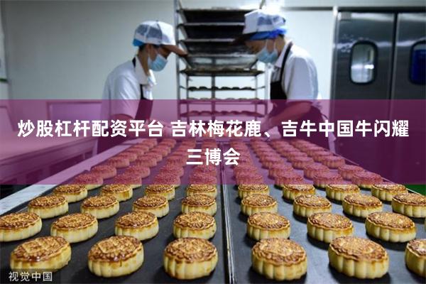炒股杠杆配资平台 吉林梅花鹿、吉牛中国牛闪耀三博会