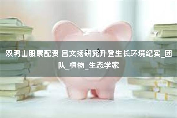 双鸭山股票配资 吕文扬研究升登生长环境纪实_团队_植物_生态学家