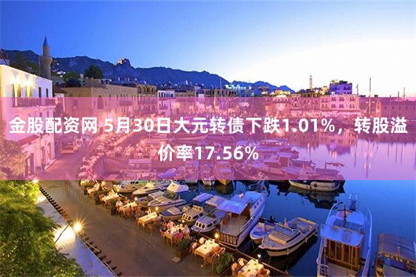 金股配资网 5月30日大元转债下跌1.01%，转股溢价率17.56%