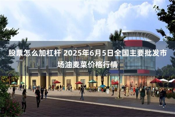 股票怎么加杠杆 2025年6月5日全国主要批发市场油麦菜价格行情
