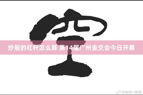 炒股的杠杆怎么算 第14届广州金交会今日开幕