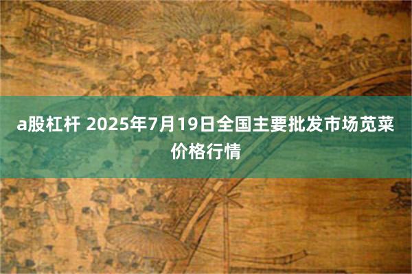 a股杠杆 2025年7月19日全国主要批发市场苋菜价格行情