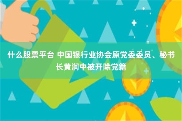 什么股票平台 中国银行业协会原党委委员、秘书长黄润中被开除党籍