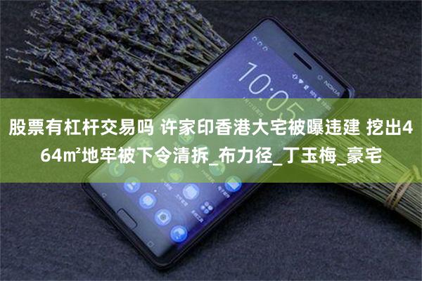 股票有杠杆交易吗 许家印香港大宅被曝违建 挖出464㎡地牢被下令清拆_布力径_丁玉梅_豪宅