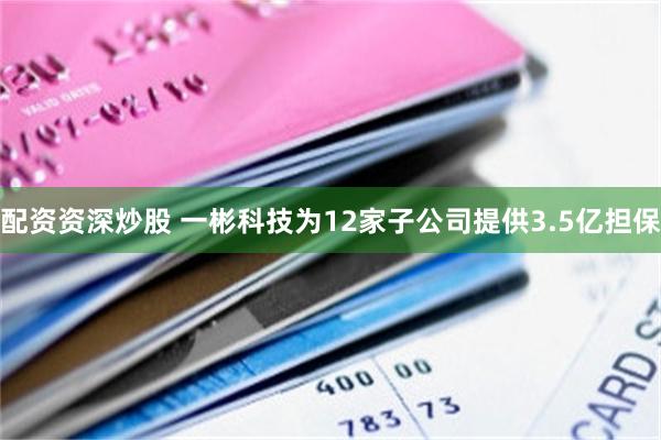 配资资深炒股 一彬科技为12家子公司提供3.5亿担保
