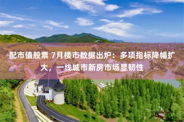 配市值股票 7月楼市数据出炉：多项指标降幅扩大，一线城市新房市场显韧性