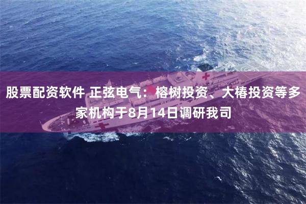 股票配资软件 正弦电气：榕树投资、大椿投资等多家机构于8月14日调研我司