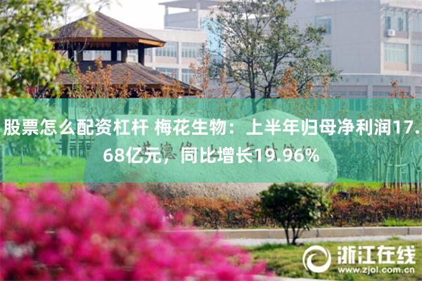 股票怎么配资杠杆 梅花生物：上半年归母净利润17.68亿元，同比增长19.96%