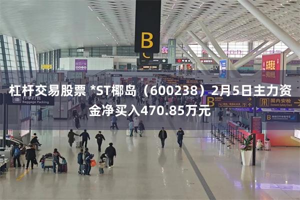 杠杆交易股票 *ST椰岛（600238）2月5日主力资金净买入470.85万元
