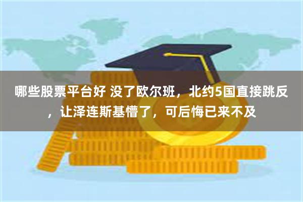 哪些股票平台好 没了欧尔班，北约5国直接跳反，让泽连斯基懵了，可后悔已来不及