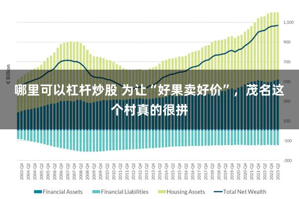 哪里可以杠杆炒股 为让“好果卖好价”，茂名这个村真的很拼