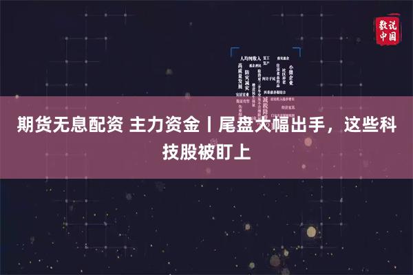期货无息配资 主力资金丨尾盘大幅出手，这些科技股被盯上