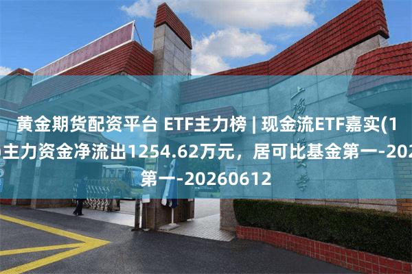 黄金期货配资平台 ETF主力榜 | 现金流ETF嘉实(159221)主力资金净流出1254.62万元，居可比基金第一-20260612